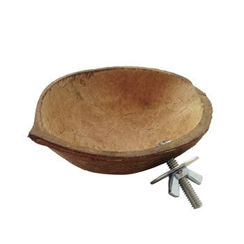 coconut_feed_dish_350px_1.jpeg