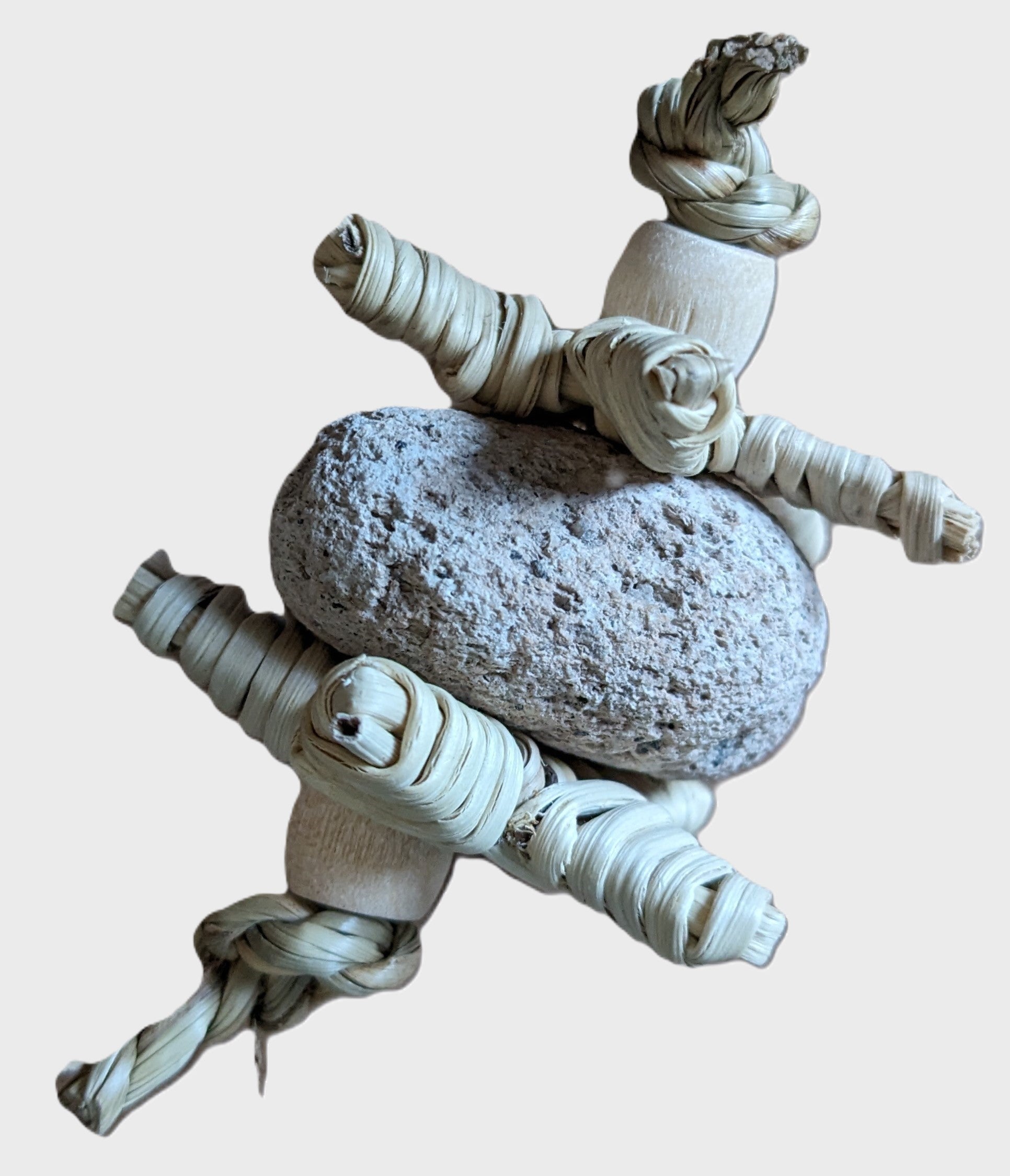 1 rock star.jpg