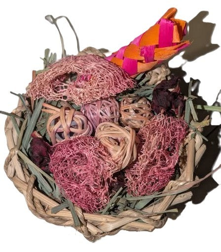 Hibiscus_2.jpg