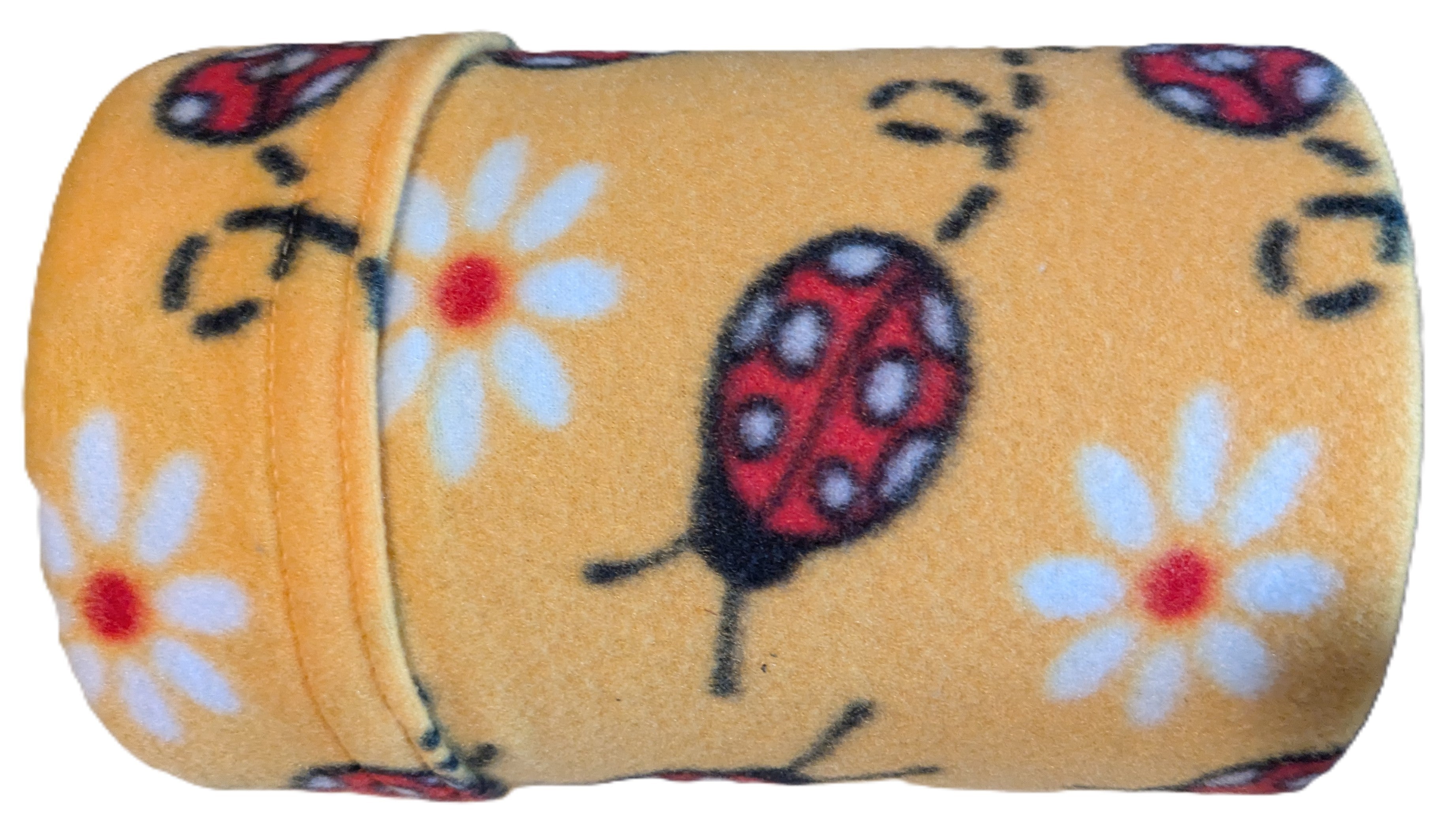 Ladybugs Tube.jpg