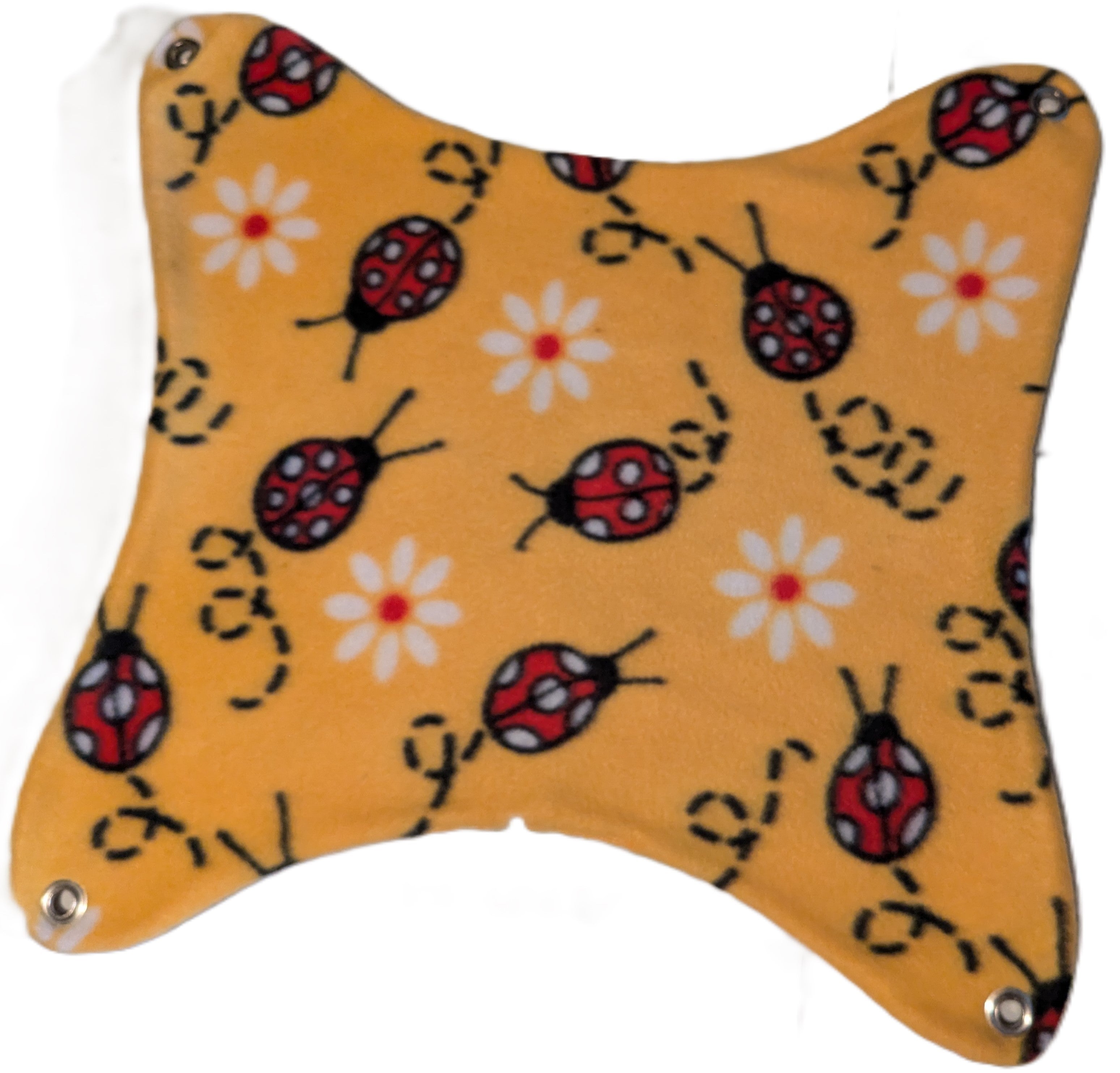 Ladybugs front.jpg