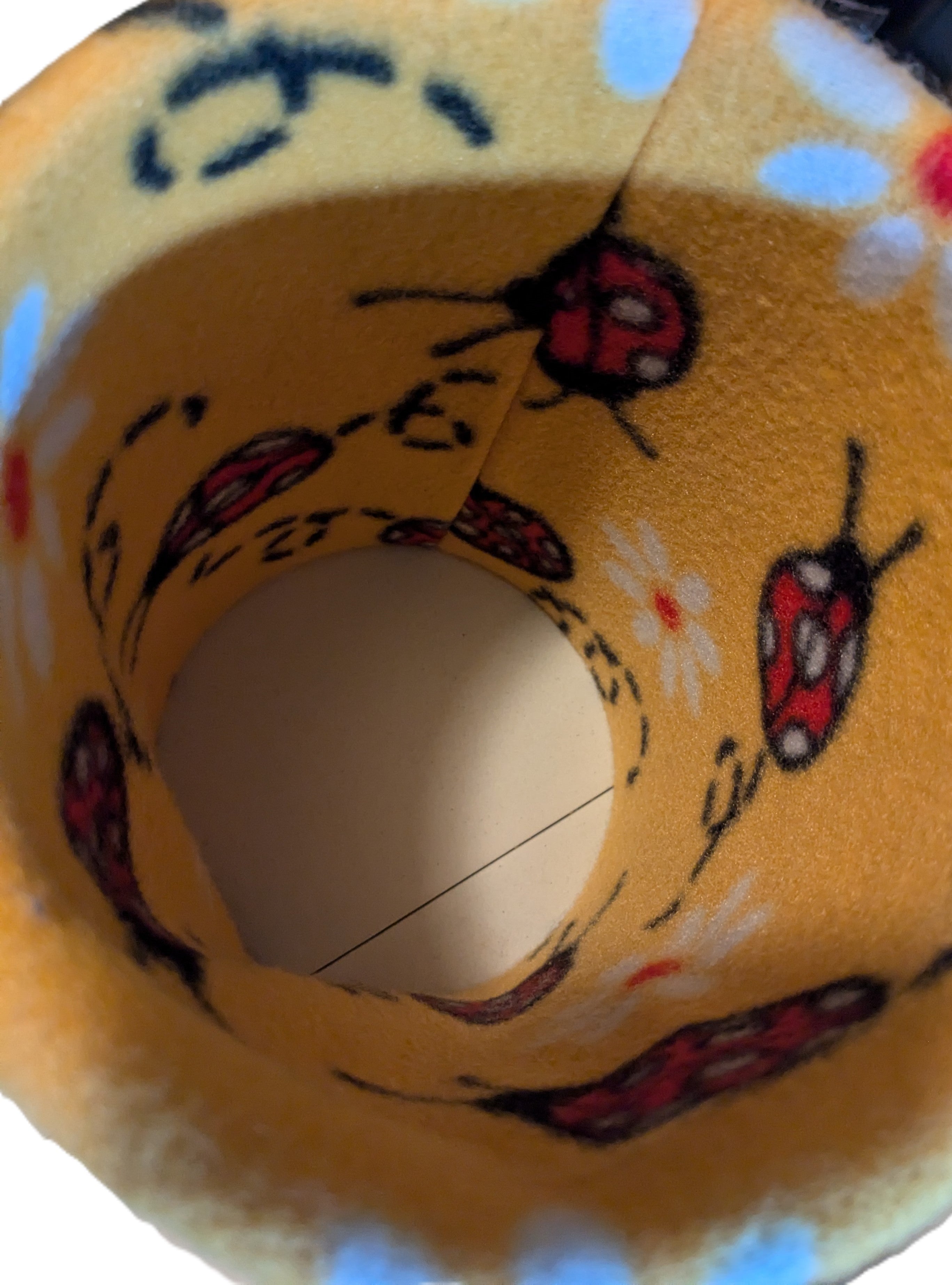 PXL_20240727_134941918.jpg