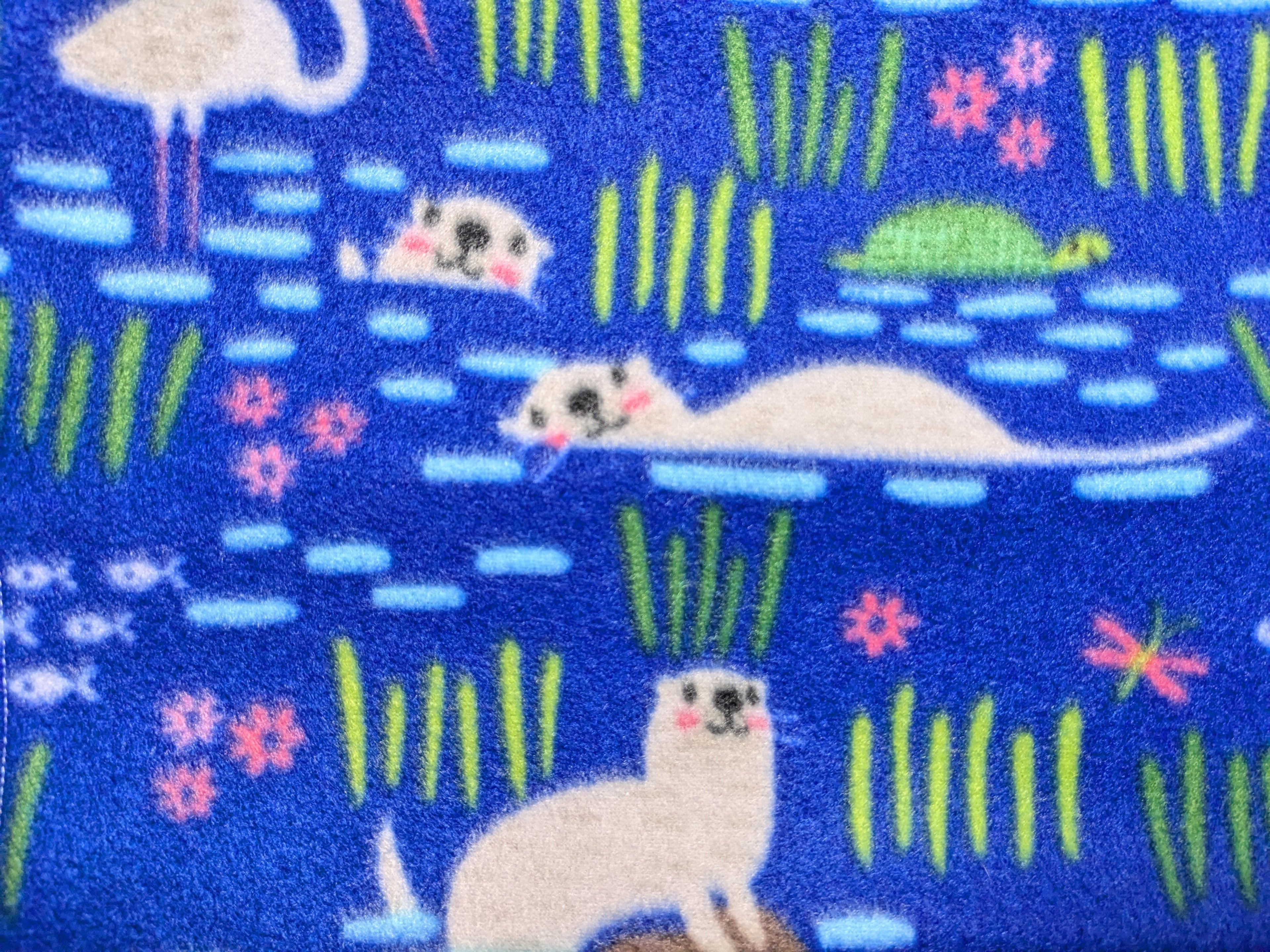 River Friends.jpg