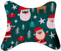 Santa front .jpg