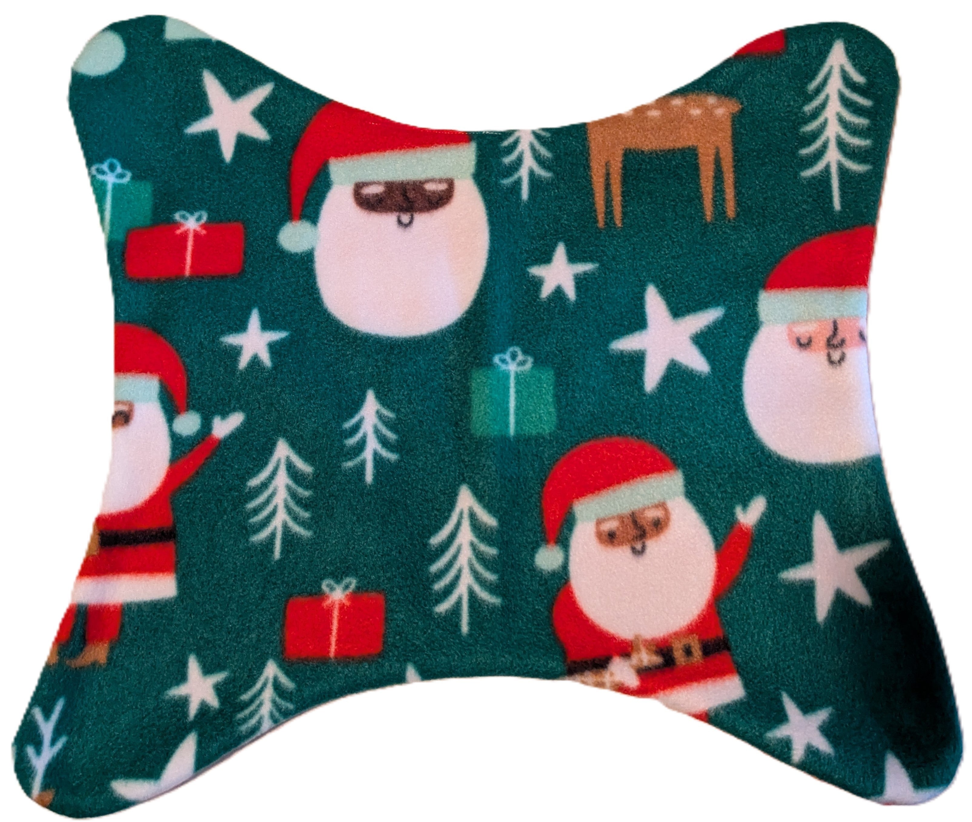 Santa front .jpg