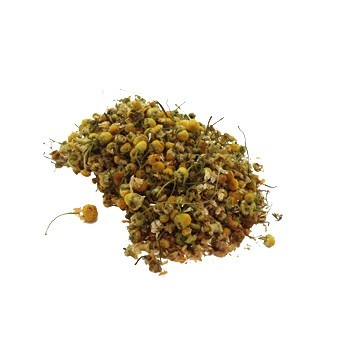 chamomile_350px.jpeg