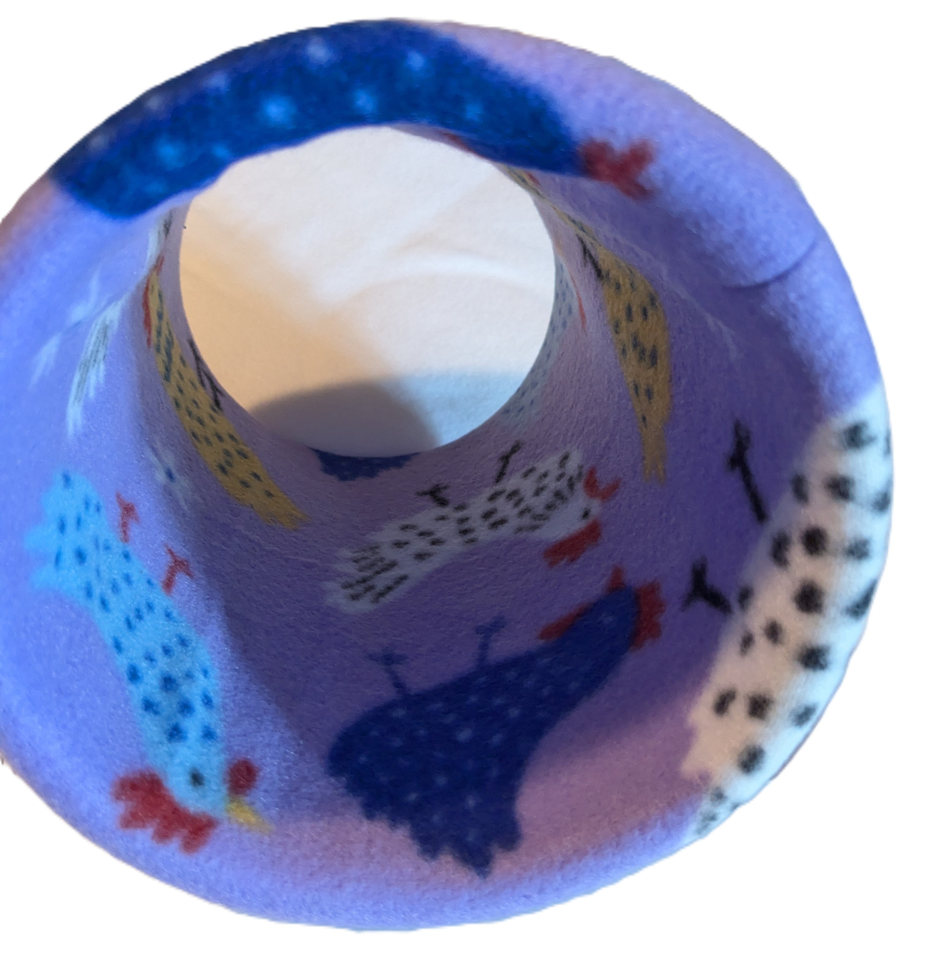 chickens purple inside.jpg