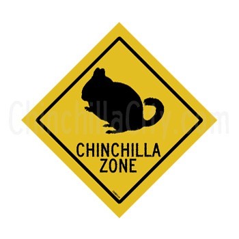 chin_zone_magnet.jpeg