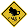 chinchilla_zone.jpeg