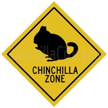 chinchilla_zone.jpeg
