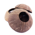 coconut_hole_sm.jpeg