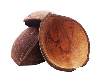 coconut_sm.jpeg