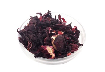 hibiscus_sm.jpeg