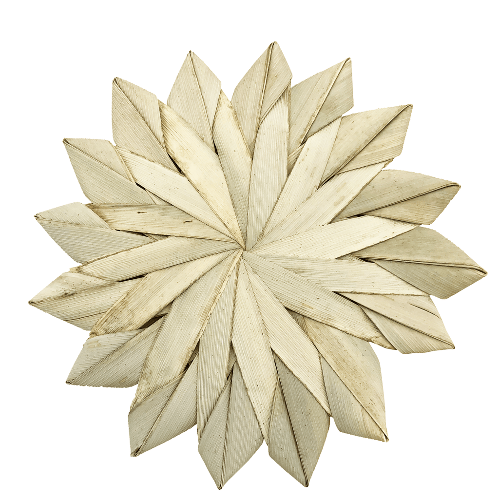 lg_palm_sunflower1_1.png