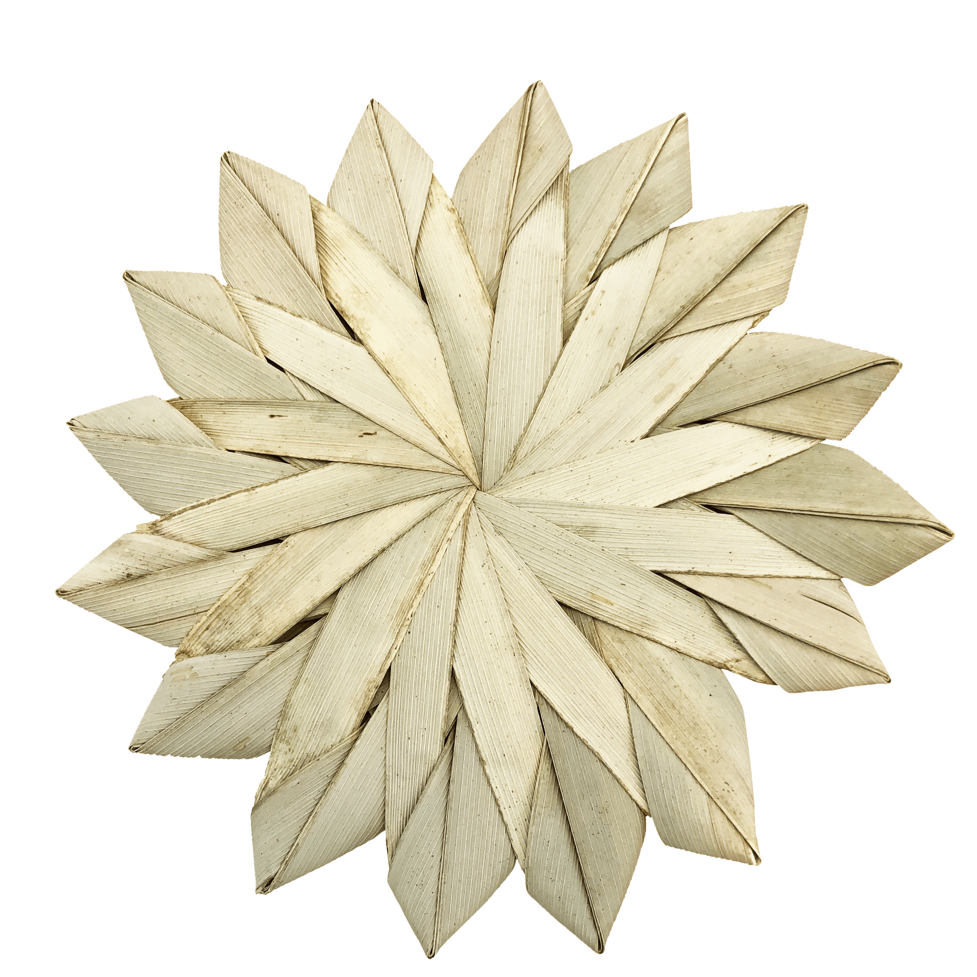lg_palm_sunflower1_1.png