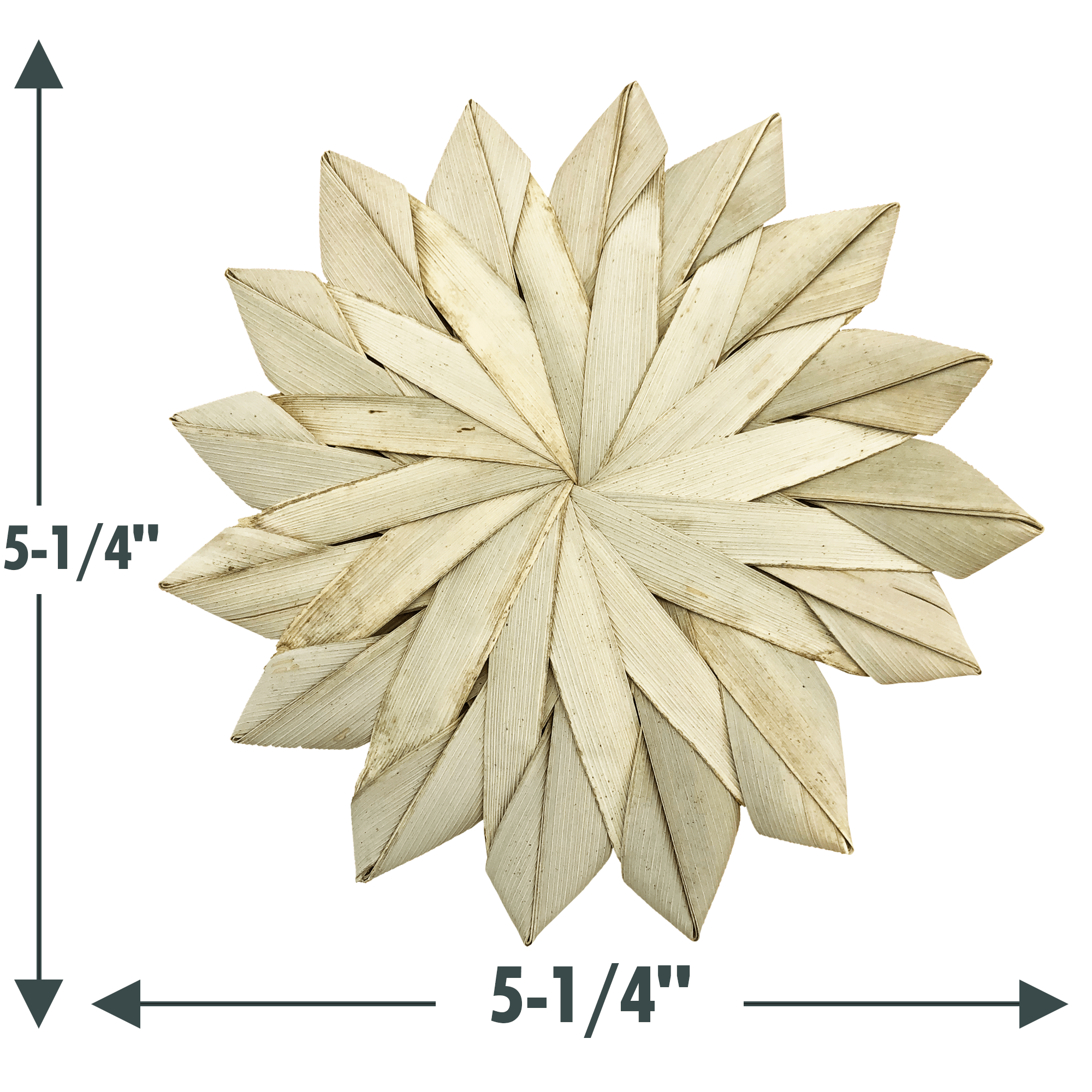 lg_palm_sunflower_1.png