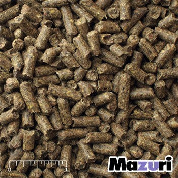 mazuri_chinchilla_food.jpeg