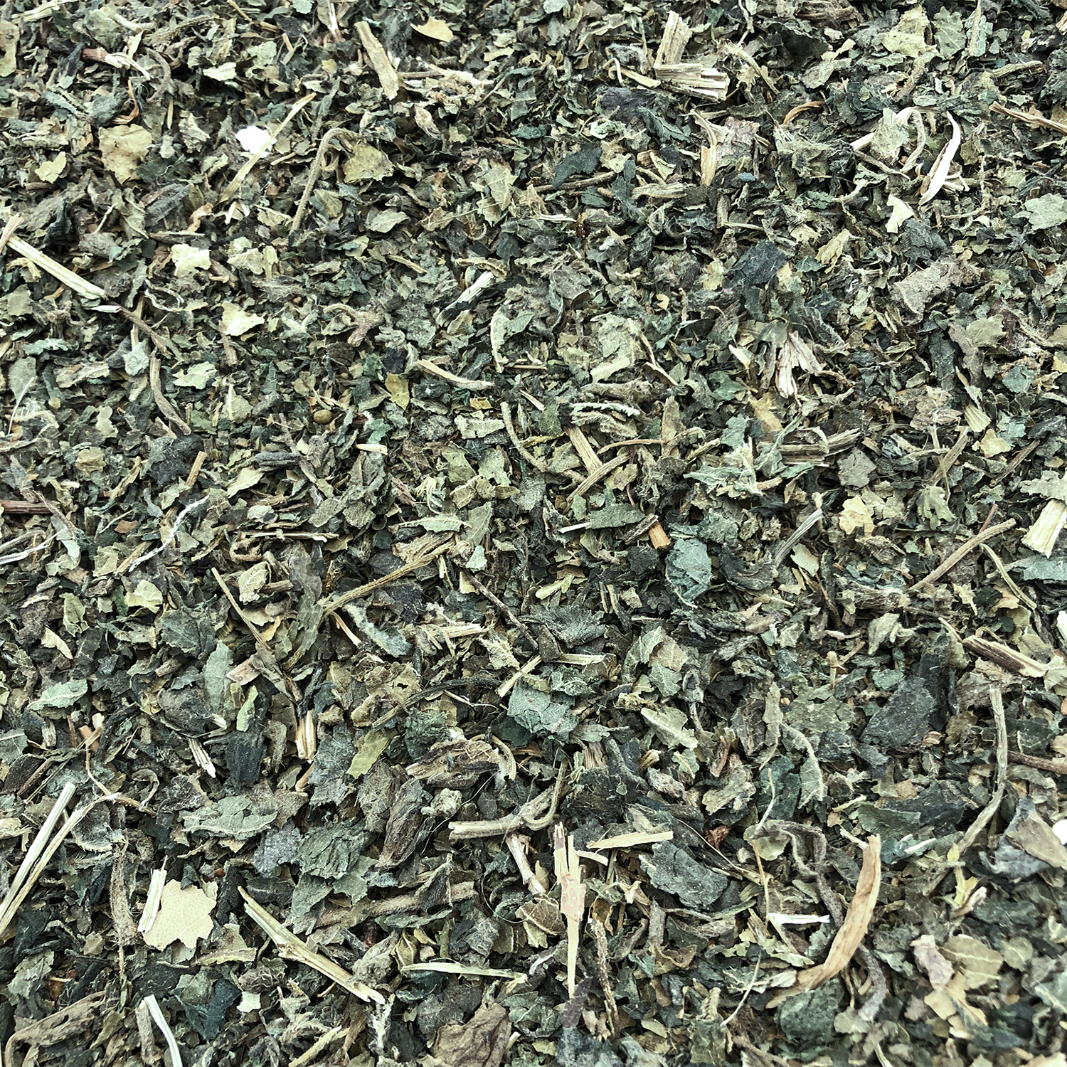 nettle_leaves.png