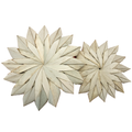 palm_sunflower_group_1.png