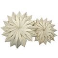 palm_sunflower_group_1_1.png