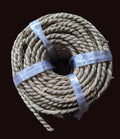 qtr in rope.jpg