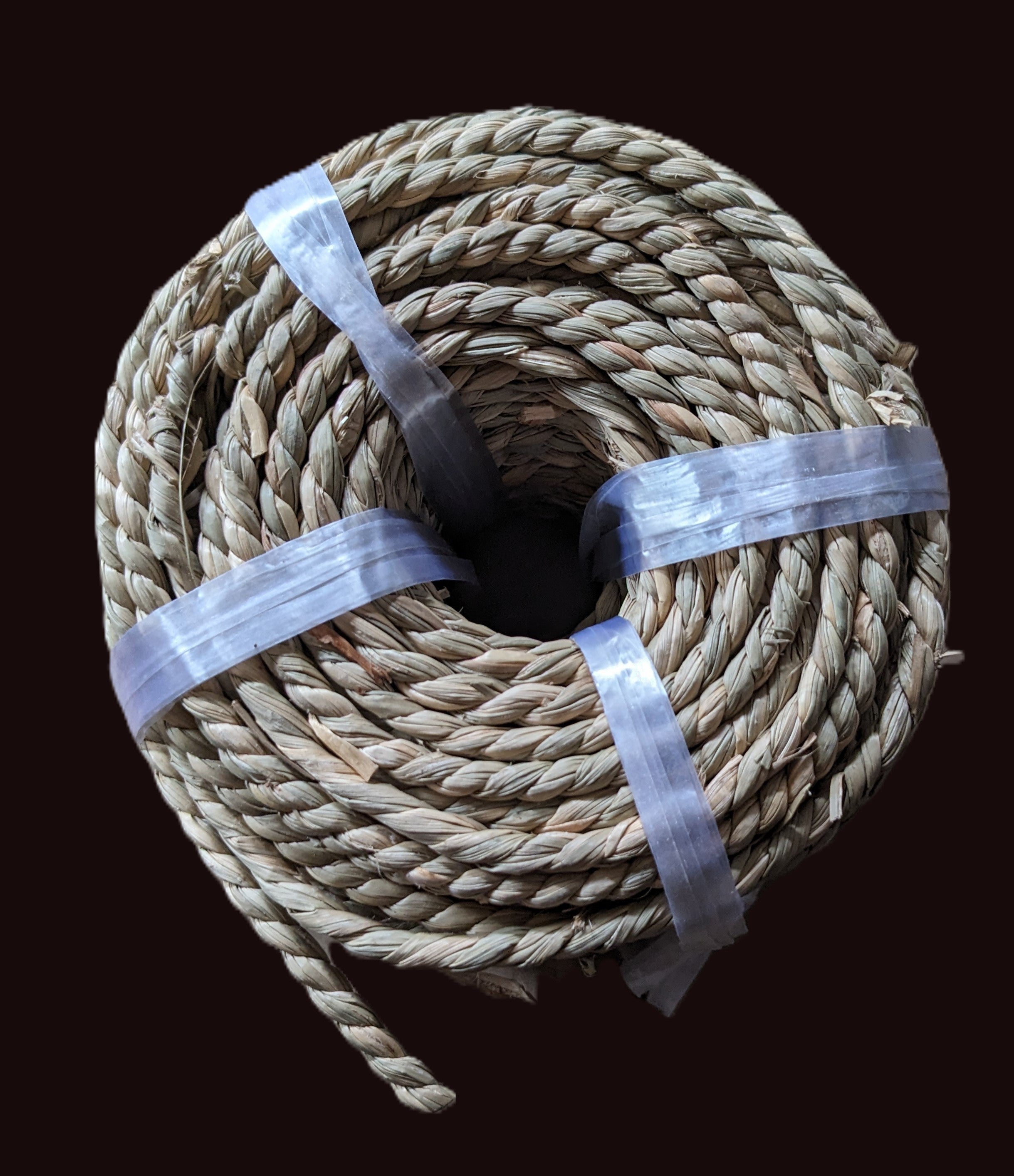 qtr in rope.jpg