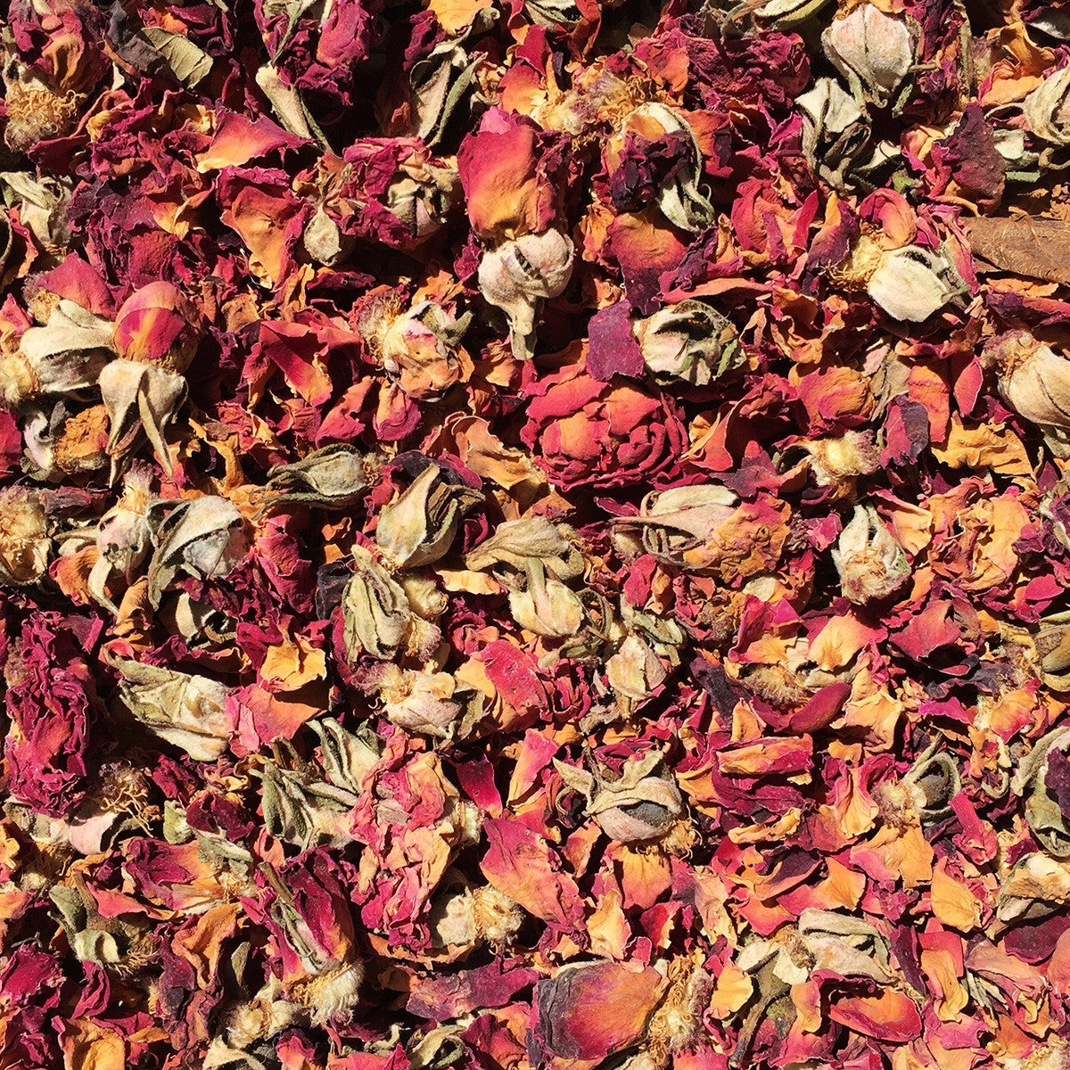 rose_buds_petals.jpg