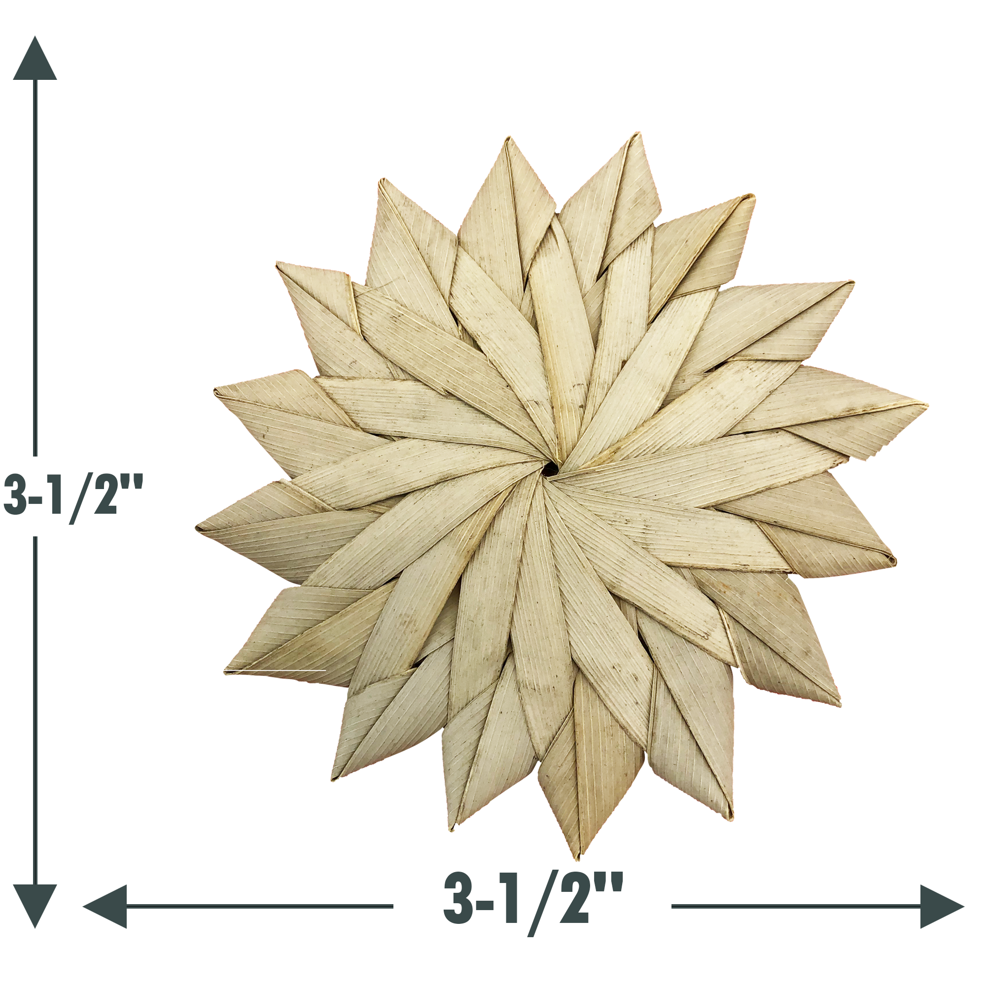 small_palm_sunflower.png