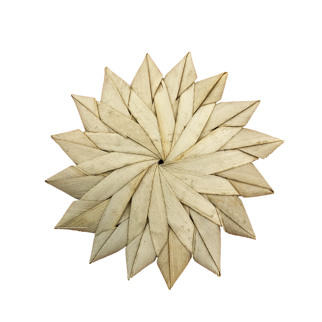 small_palm_sunflower1.png