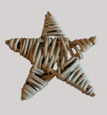 vine star 2.jpg