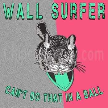 wall_surfer_350px.jpeg